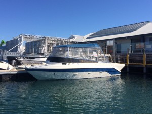 Parasail boat for sale
